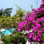 Hotel Tunacan